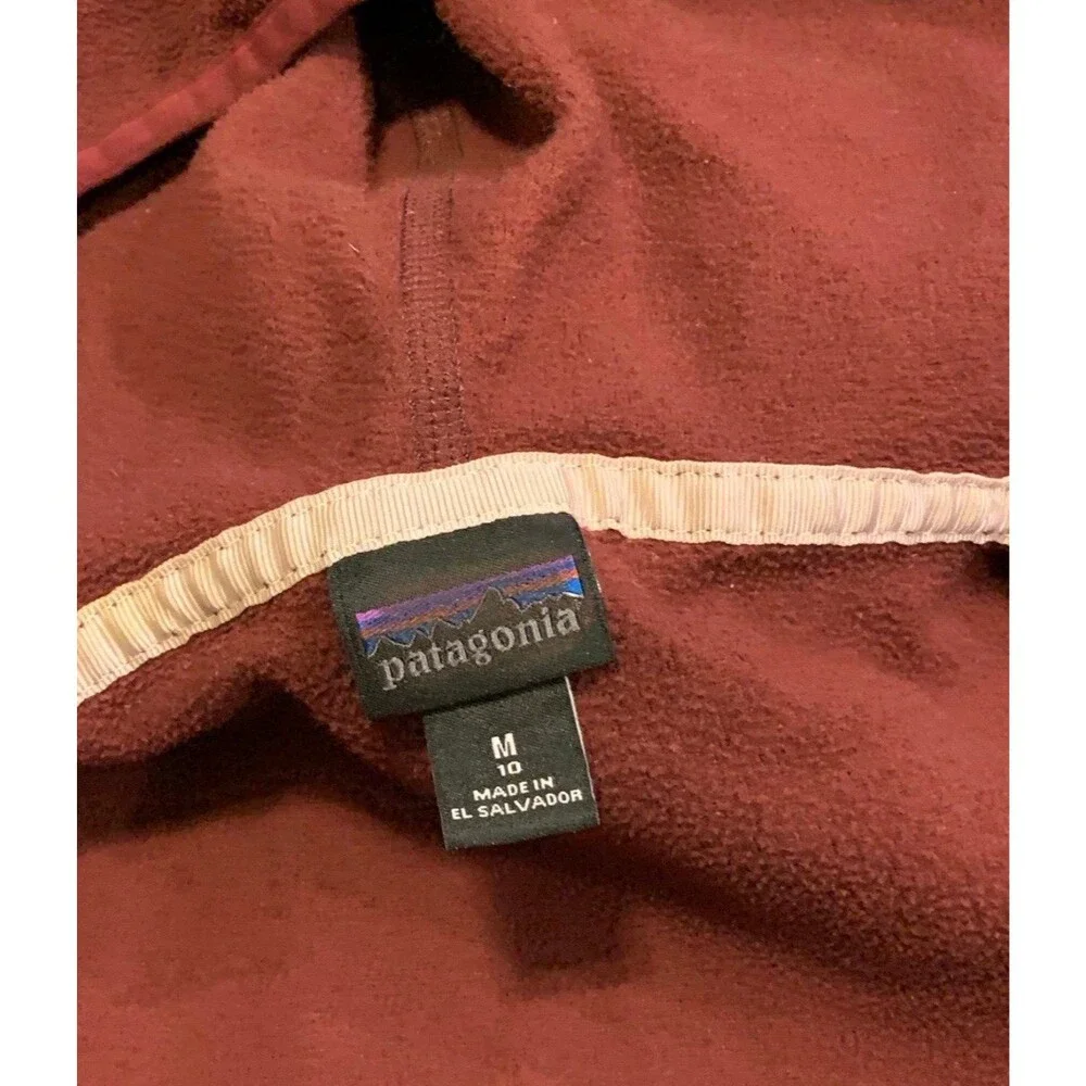 Patagonia hoodie pre